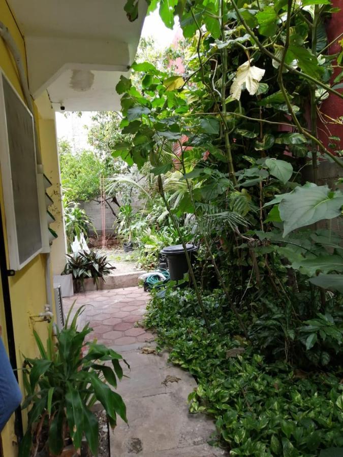 Tucan Playa del Carmen Exterior foto